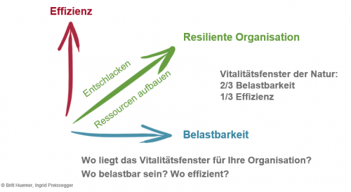 Belastbarkeit Und Effizienz Balancieren